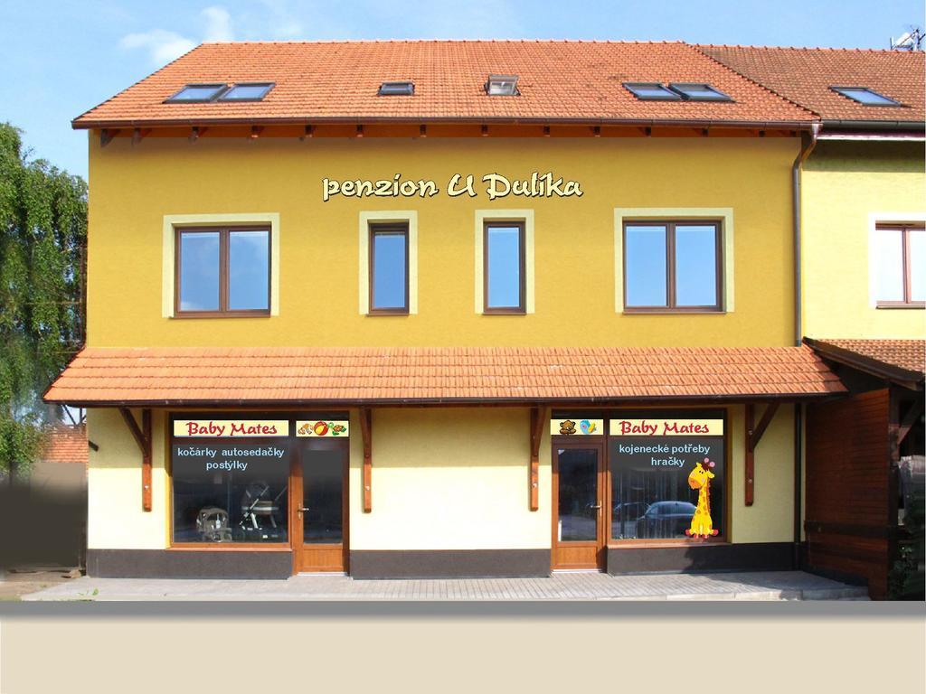 Penzion U Dulika Veselí nad Moravou Buitenkant foto